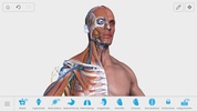 V. Anatomy screenshot 8