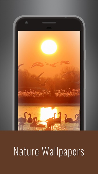 Nature Wallpapers - Preview 8