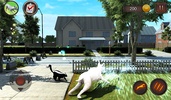 Bull Terier Dog Simulator screenshot 7