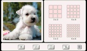 Guess the Dog: Tile Puzzles screenshot 1