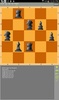 Puzzle Chess screenshot 7