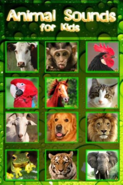 AnimalTest - Preview 2