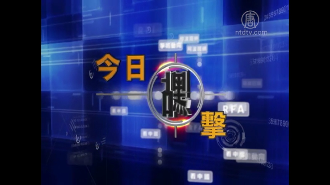 iNTD TV - Preview 7