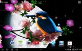 Sakura and Bird Live Wallpaper screenshot 2