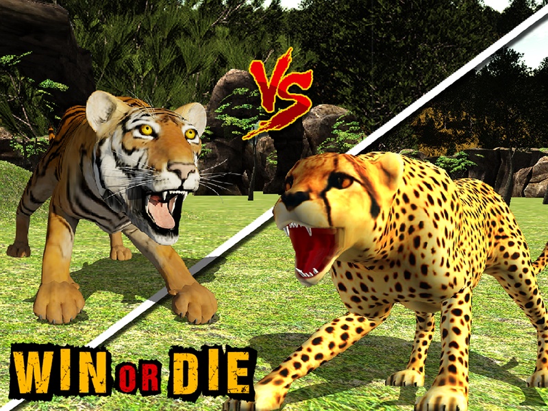 African Cheetah Wildlife - Preview 5