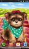 Cute Dog Free screenshot 2