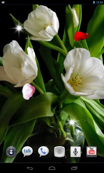 Amazing Tulips live wallpaper - Preview 3