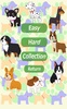 Dog Concentration (card game) screenshot 2