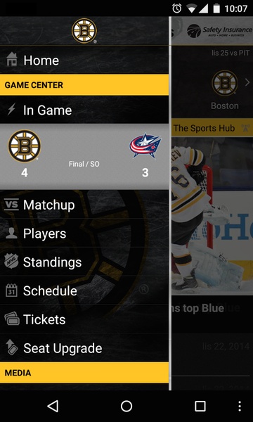 Bruins - Preview 3