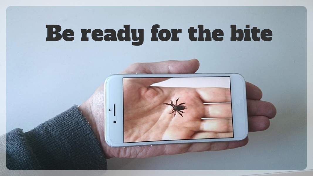 Spider On Hand Prank - Preview 5