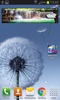 Waterfall Clock Weather Widget screenshot 1