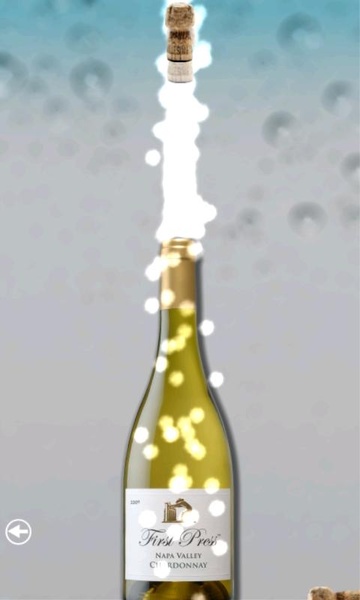 A Bottle of Champagne - Preview 3