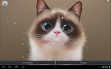 Shui The Kitten Lite screenshot 1