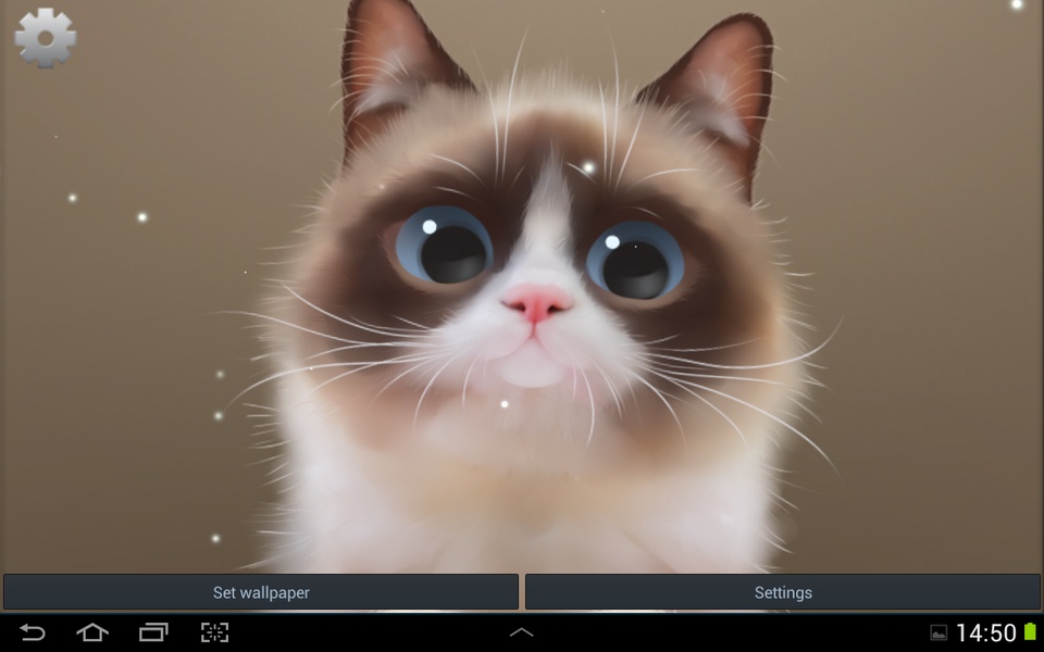 Shui The Kitten Lite - Preview 1