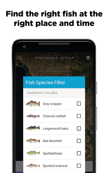 FishBrain - Preview 6