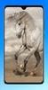 Horse Wallpaper 4K screenshot 8