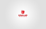 Lion Air screenshot 2