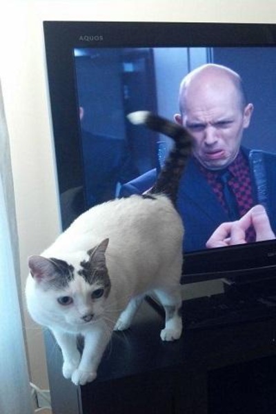 Funny Pics - Preview 3