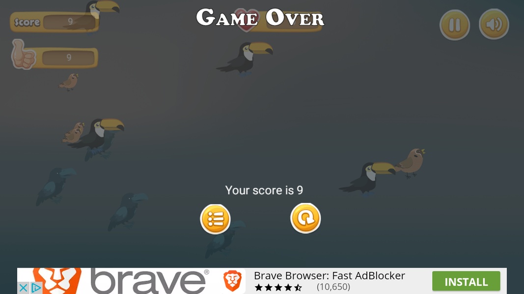 Bird Rescue - Preview 1