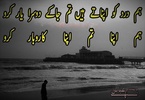 Bewafa Urdu Shayari screenshot 1