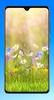 Beautiful Spring Wallpaper 4K screenshot 6