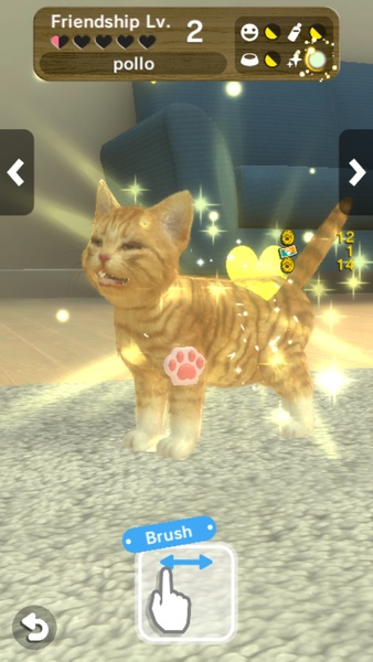with My CAT - Preview 1