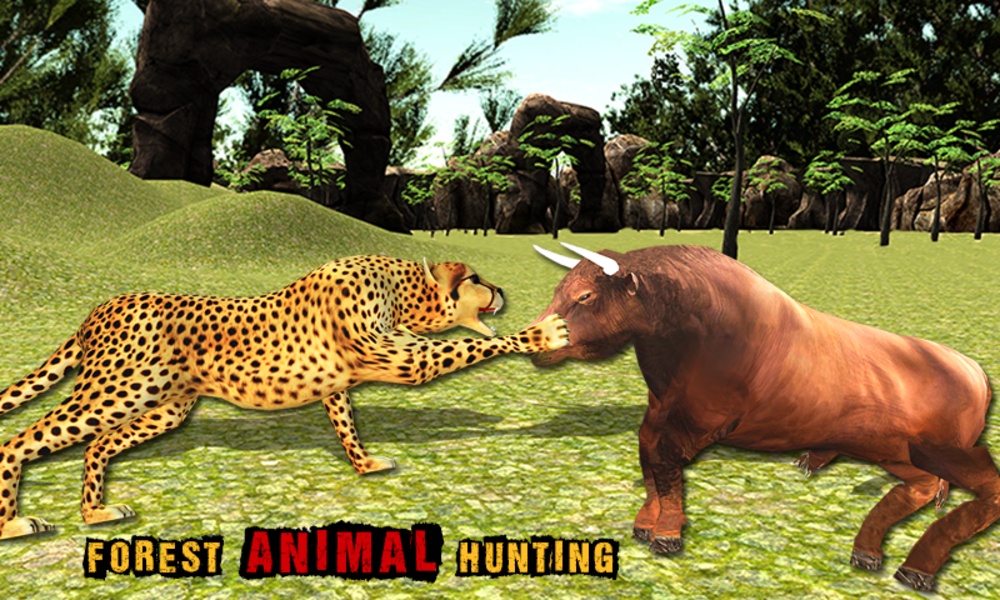African Cheetah Wildlife - Preview 11