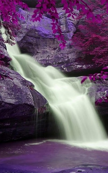 Wild Waterfalls Live Wallpaper - Preview 4