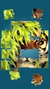 Tigers Jigsaw Puzzle screenshot 2
