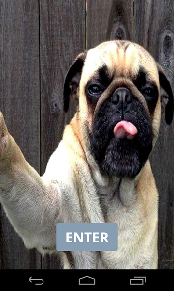 Funny Selfies - Preview 3