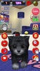 Homeless Cat : take care this virtual pet screenshot 8