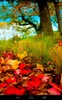 Falling Leaves xLocker screenshot 8