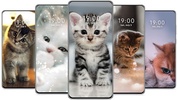 Cute Cat Wallpaper for Android - Download the APK from Uptodown