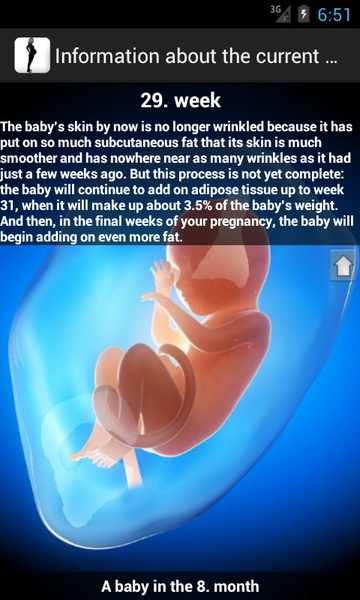 Pregnancy watcher widget - Preview 4