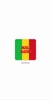 Mali Radio screenshot 16