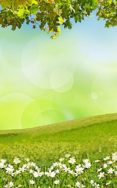 Spring Meadow Live Wallpaper - Preview 3