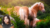 Horse Pic Editor Lyrical Maker screenshot 3