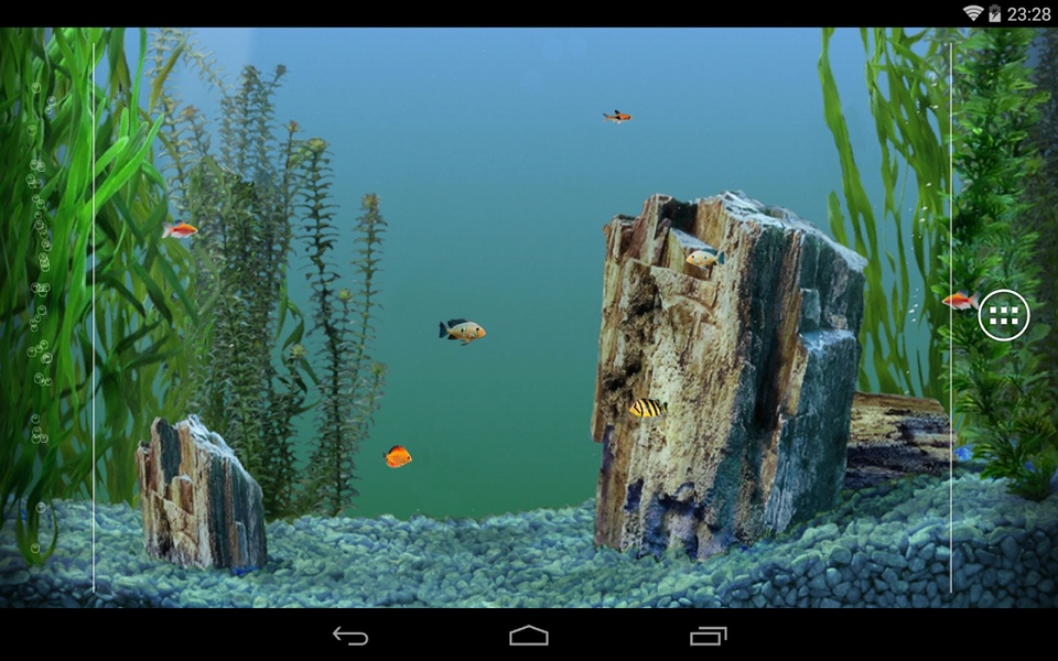 aquarium - Preview 5