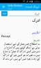 Urdu Dictionaries screenshot 9