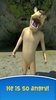 Barney, el puma que habla screenshot 1