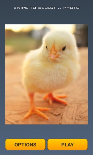 Cute Chicks Puzzle - Preview 6