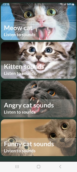 Cats sounds - Preview 4