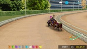 Pick Horse Racing screenshot 4