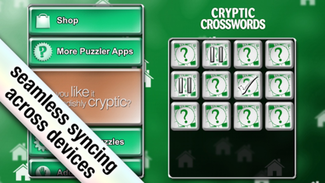 Cryptic Crosswords - Preview 4