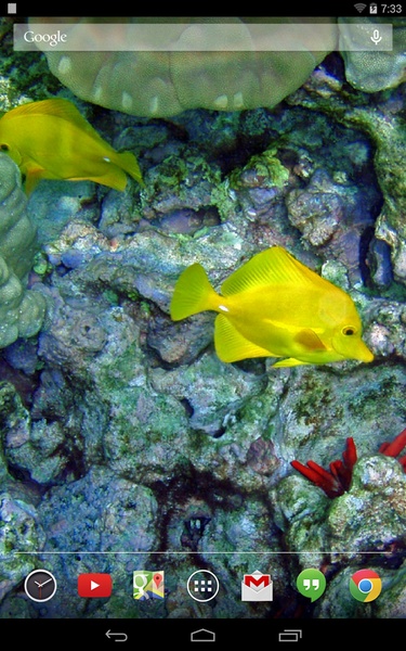 Tropical Fish Live Wallpaper - Preview 7