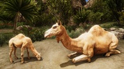 Ultimate Camel Simulator screenshot 2