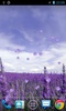 Lavender screenshot 2