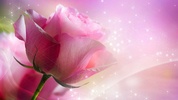 Pink Roses Live Wallpaper screenshot 6