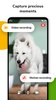 Barkio: Dog Monitor & Pet Cam screenshot 14