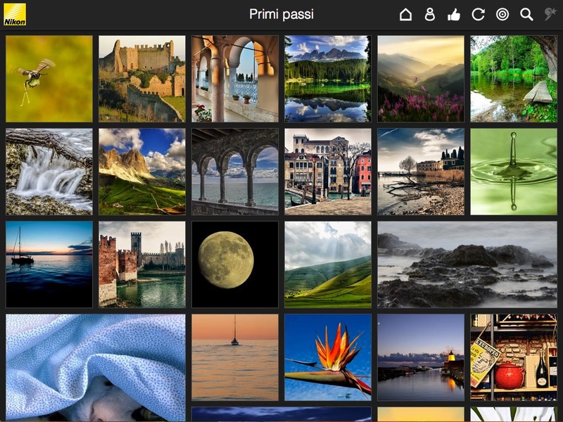 Nikon Art - Preview 5